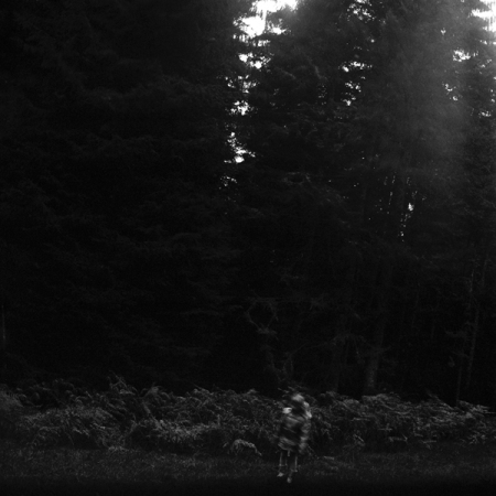 Dana la forêt, 1960-060, Alsace 2007